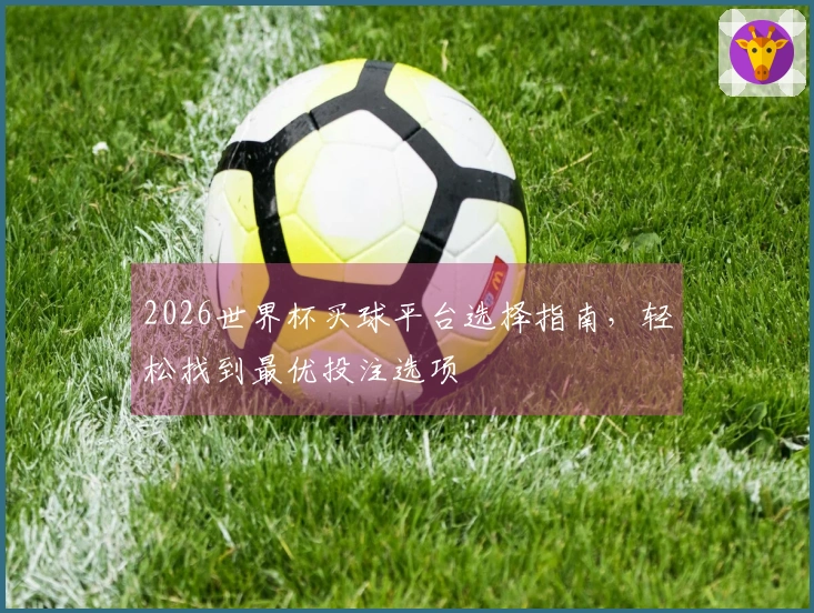 2026世界杯买球平台选择指南，轻松找到最优投注选项