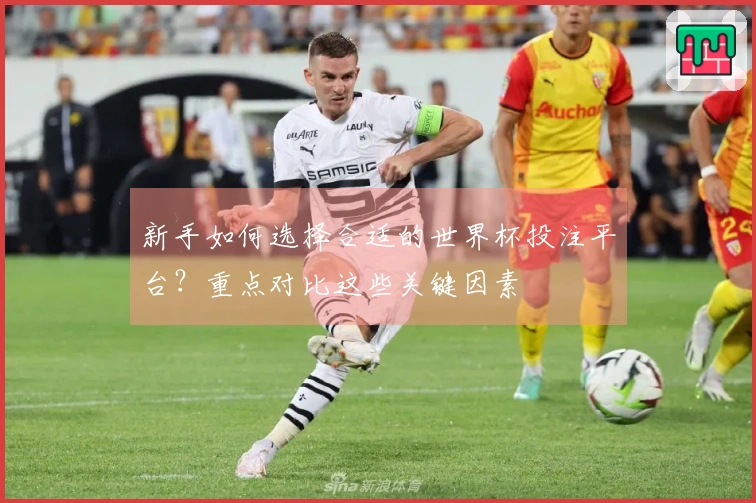 新手如何选择合适的世界杯投注平台?重点对比这些关键因素
