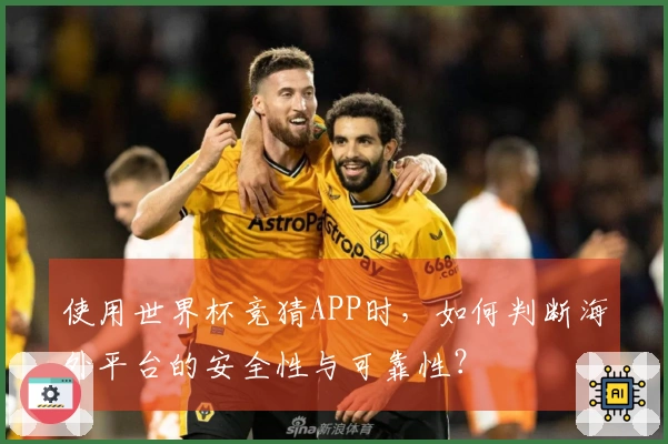 使用世界杯竞猜APP时，如何判断海外平台的安全性与可靠性？