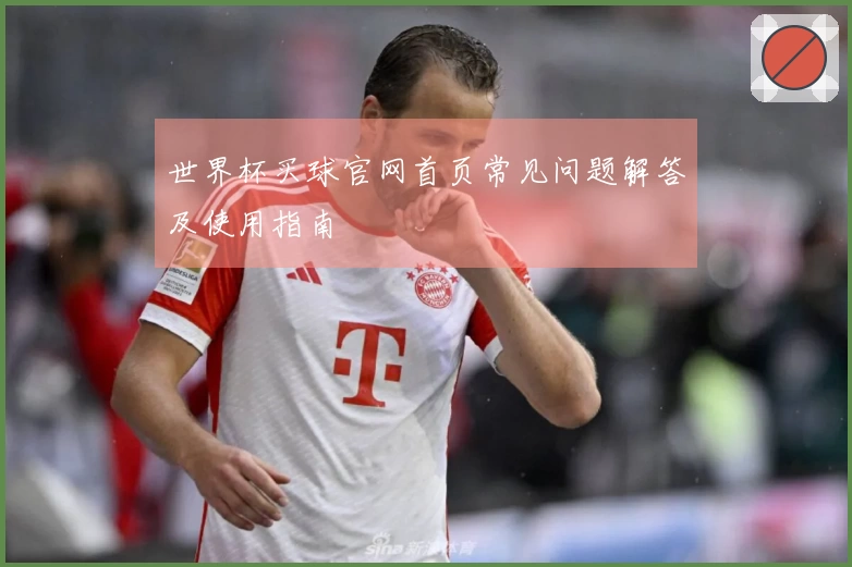 世界杯买球官网首页常见问题解答及使用指南
