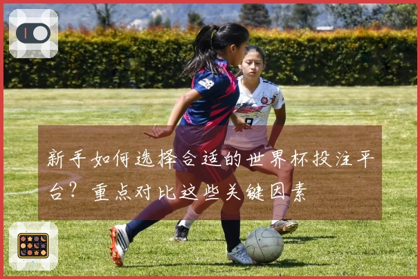 新手如何选择合适的世界杯投注平台？重点对比这些关键因素
