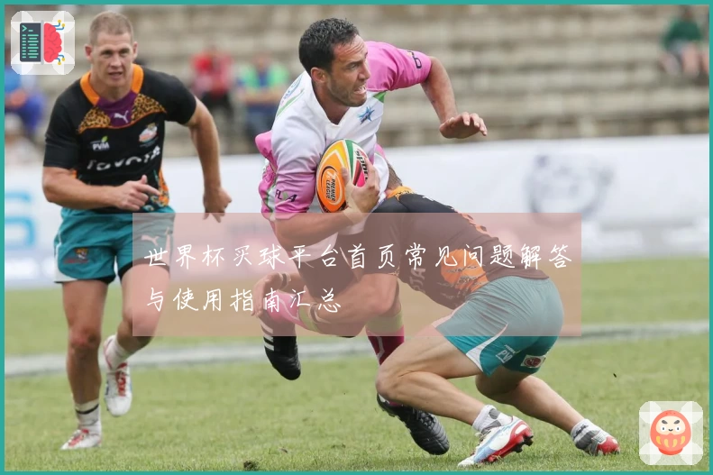 世界杯买球平台首页常见问题解答与使用指南汇总