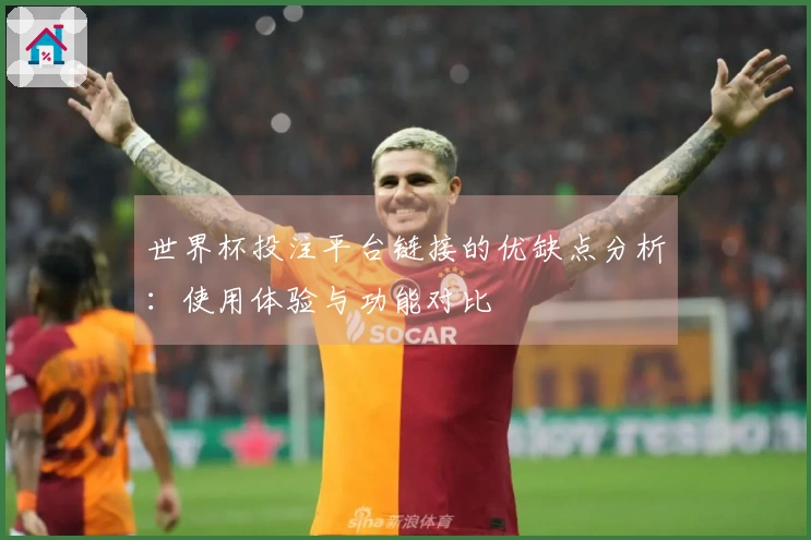 世界杯投注平台链接的优缺点分析：使用体验与功能对比