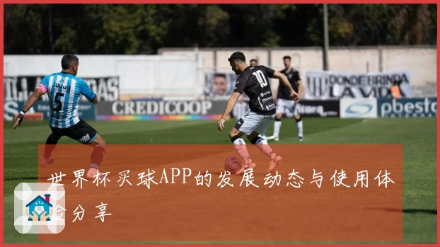 世界杯买球APP的发展动态与使用体验分享