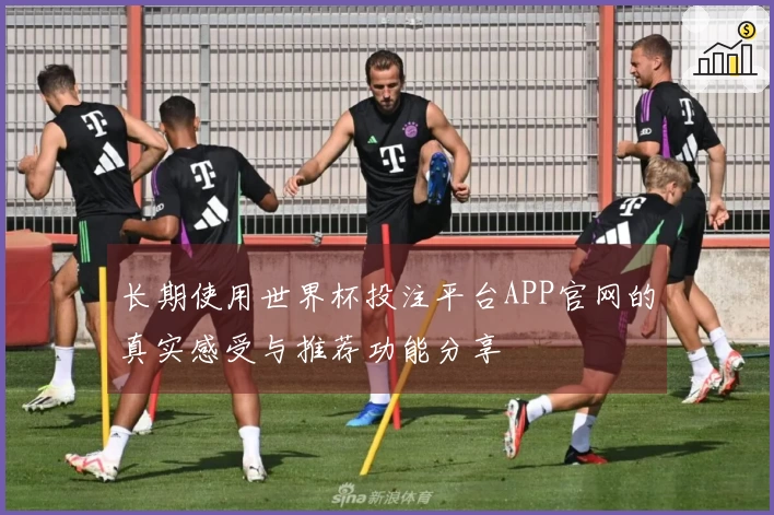 长期使用世界杯投注平台APP官网的真实感受与推荐功能分享
