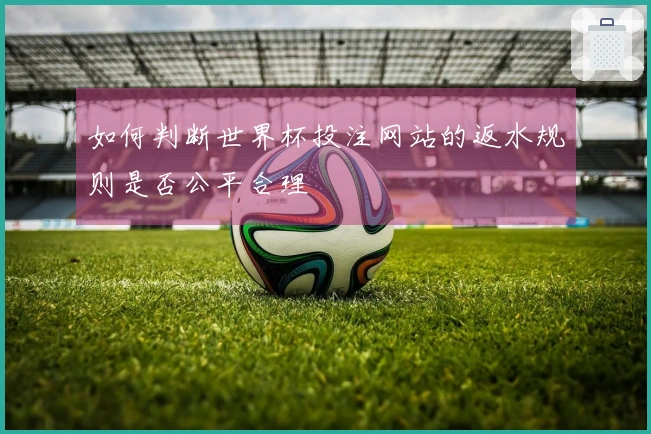 如何判断世界杯投注网站的返水规则是否公平合理