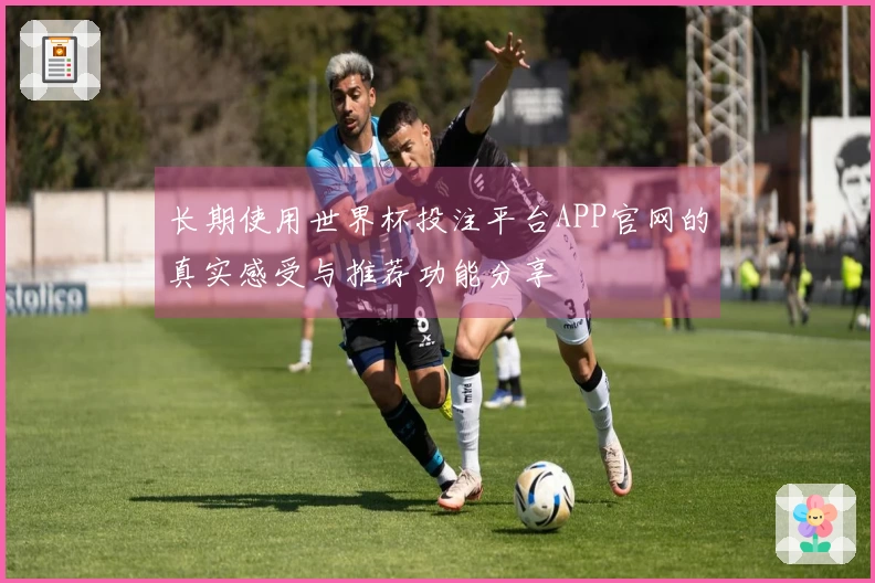 长期使用世界杯投注平台APP官网的真实感受与推荐功能分享
