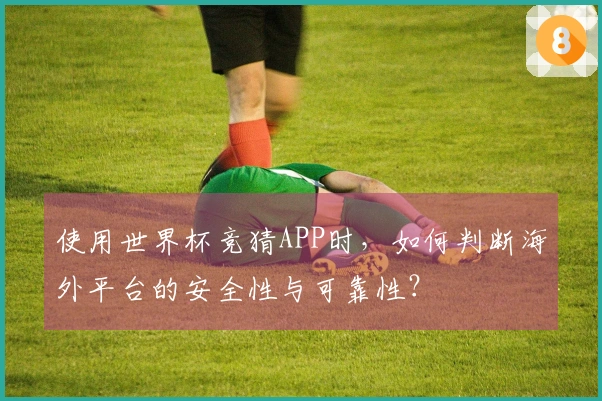 使用世界杯竞猜APP时，如何判断海外平台的安全性与可靠性？