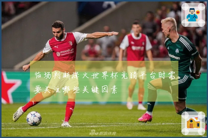 临场判断烽火世界杯竞猜平台时需要关注哪些关键因素