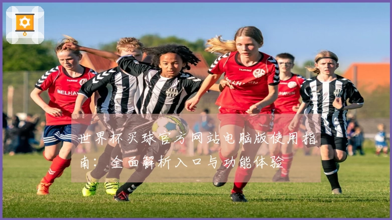 世界杯买球官方网站电脑版使用指南：全面解析入口与功能体验