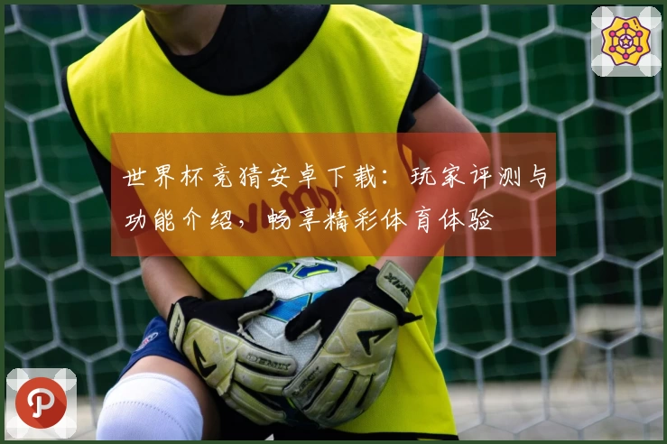 世界杯竞猜安卓下载：玩家评测与功能介绍，畅享精彩体育体验