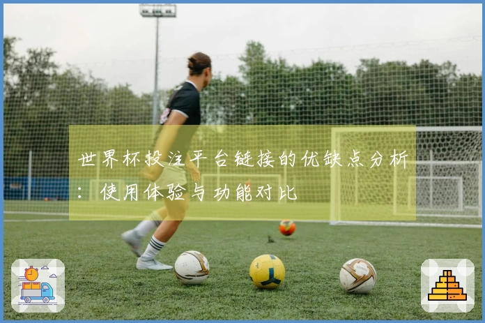 世界杯投注平台链接的优缺点分析：使用体验与功能对比