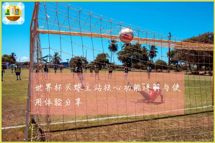 世界杯买球主站核心功能详解与使用体验分享