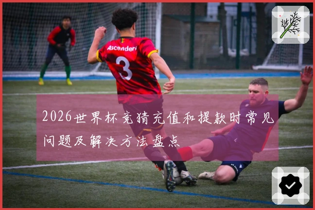 2026世界杯竞猜充值和提款时常见问题及解决方法盘点
