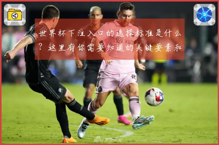 世界杯下注入口的选择标准是什么？这里有你需要知道的关键要素和风险提示