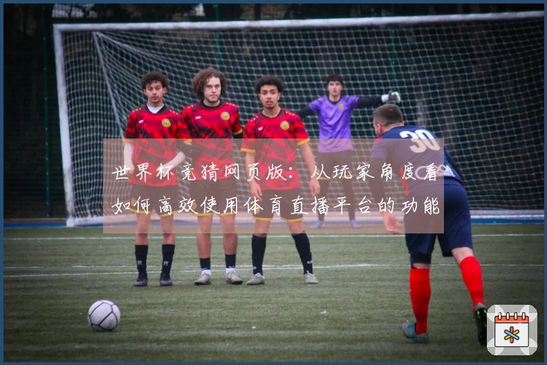 世界杯竞猜网页版：从玩家角度看如何高效使用体育直播平台的功能与体验