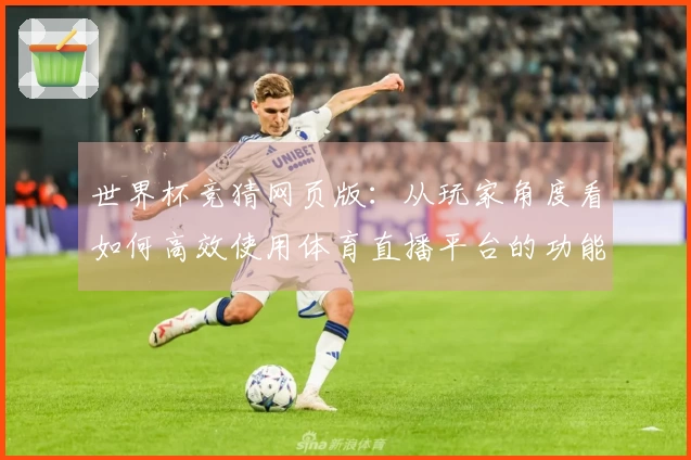 世界杯竞猜网页版：从玩家角度看如何高效使用体育直播平台的功能与体验