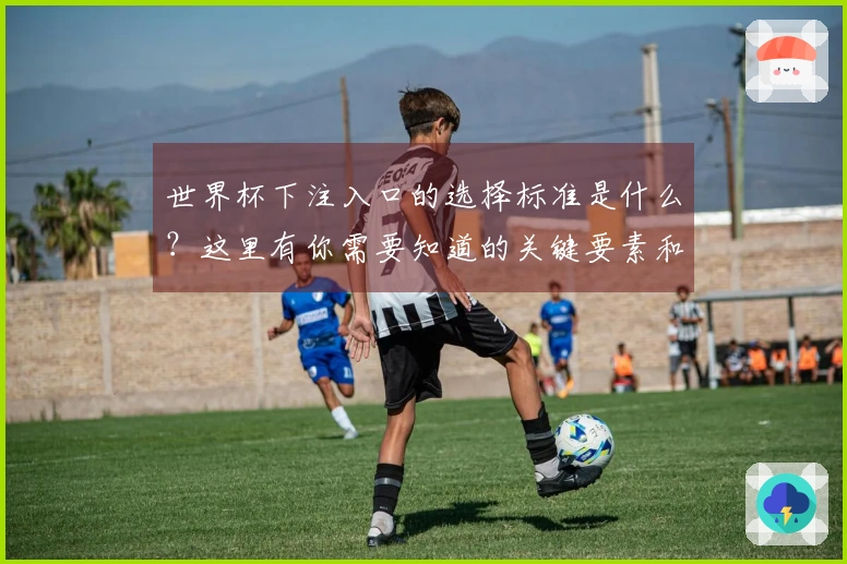 世界杯下注入口的选择标准是什么？这里有你需要知道的关键要素和风险提示