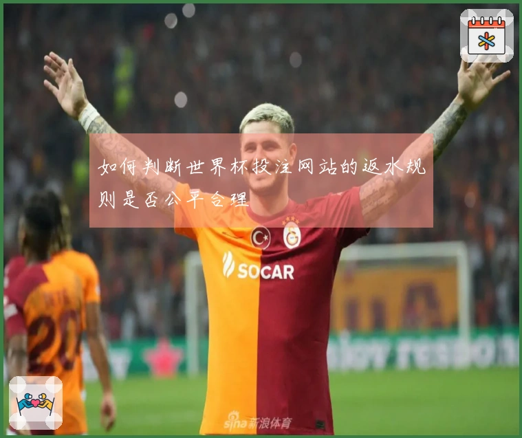 如何判断世界杯投注网站的返水规则是否公平合理