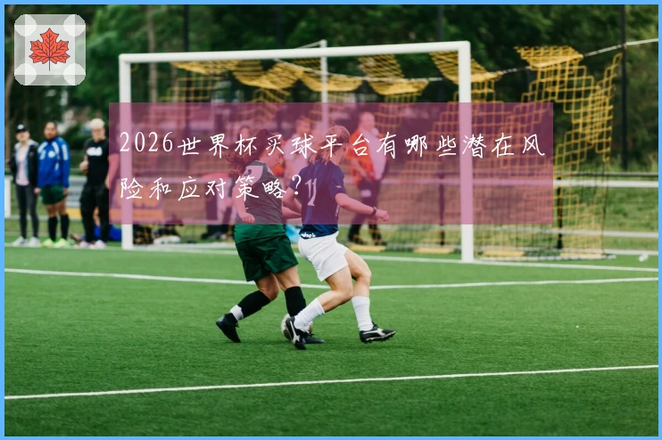 2026世界杯买球平台有哪些潜在风险和应对策略？