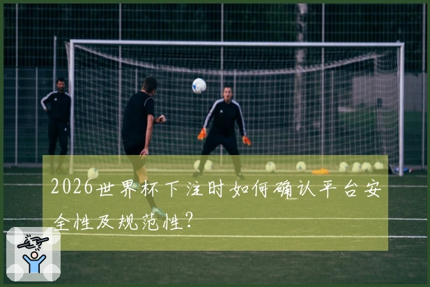 2026世界杯下注时如何确认平台安全性及规范性？